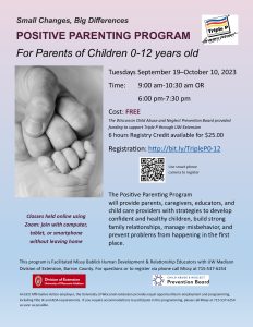 Positive Parenting Program