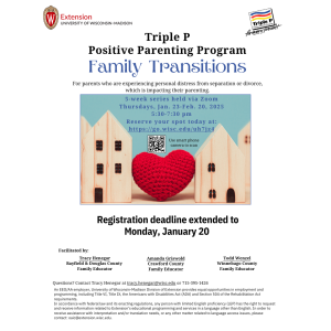 Triple P Positive Parenting Program